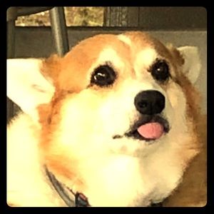 Meet your Posher, Nicolette